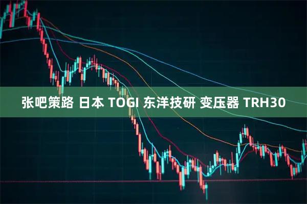 张吧策路 日本 TOGI 东洋技研 变压器 TRH30