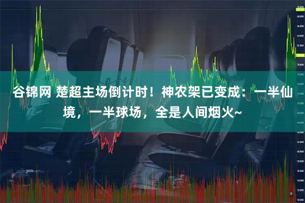谷锦网 楚超主场倒计时！神农架已变成：一半仙境，一半球场，全是人间烟火~